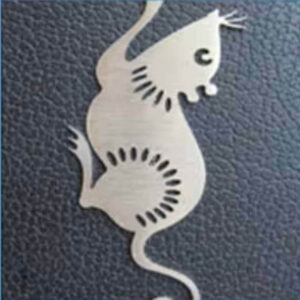 Best Budger Metal & Nonmetal Laser Cutting Machine for Sale
